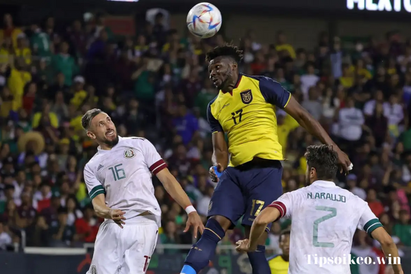 Tip bóng đá Qatar vs Ecuador - Tip kèo châu Á